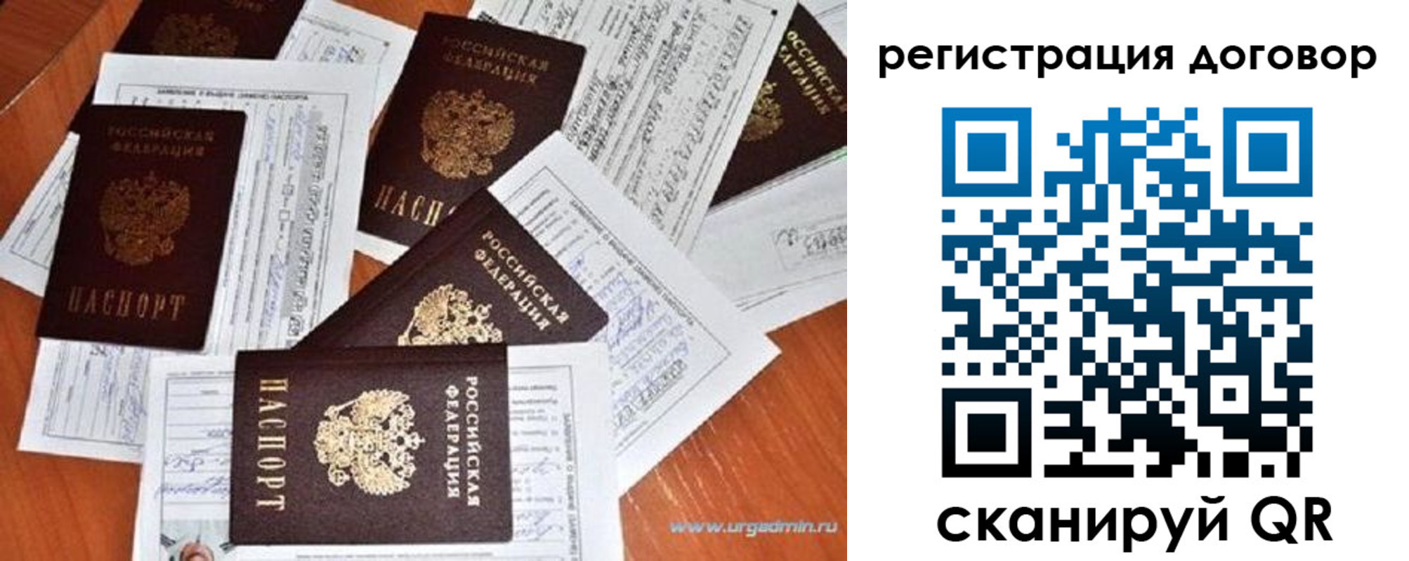 прописка ребенка в Светлогорске