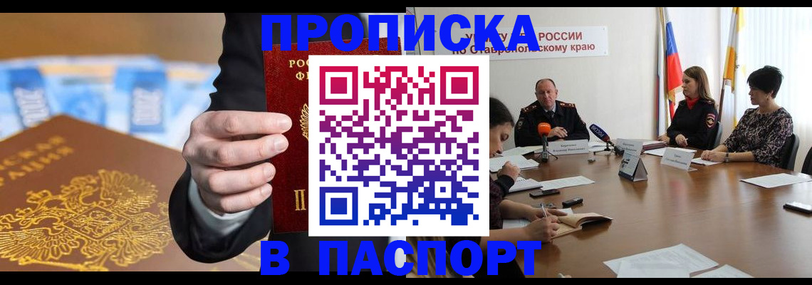 временная регистрация поиск в Светлогорске
